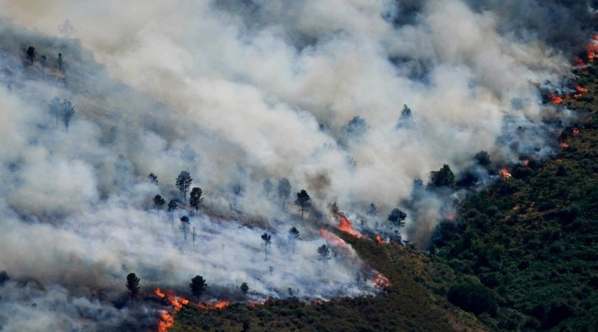 Spanja shpall gjendje të jashtëzakonshme, zjarret detyrojnë evakuimin e 10 mijë banorëve Spanja shpall gjendje të jashtëzakonshme, zjarret detyrojnë evakuimin e 10 mijë banorëve